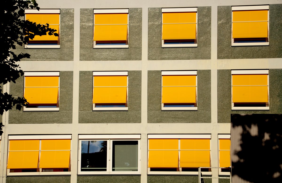 yellow window - Марина 