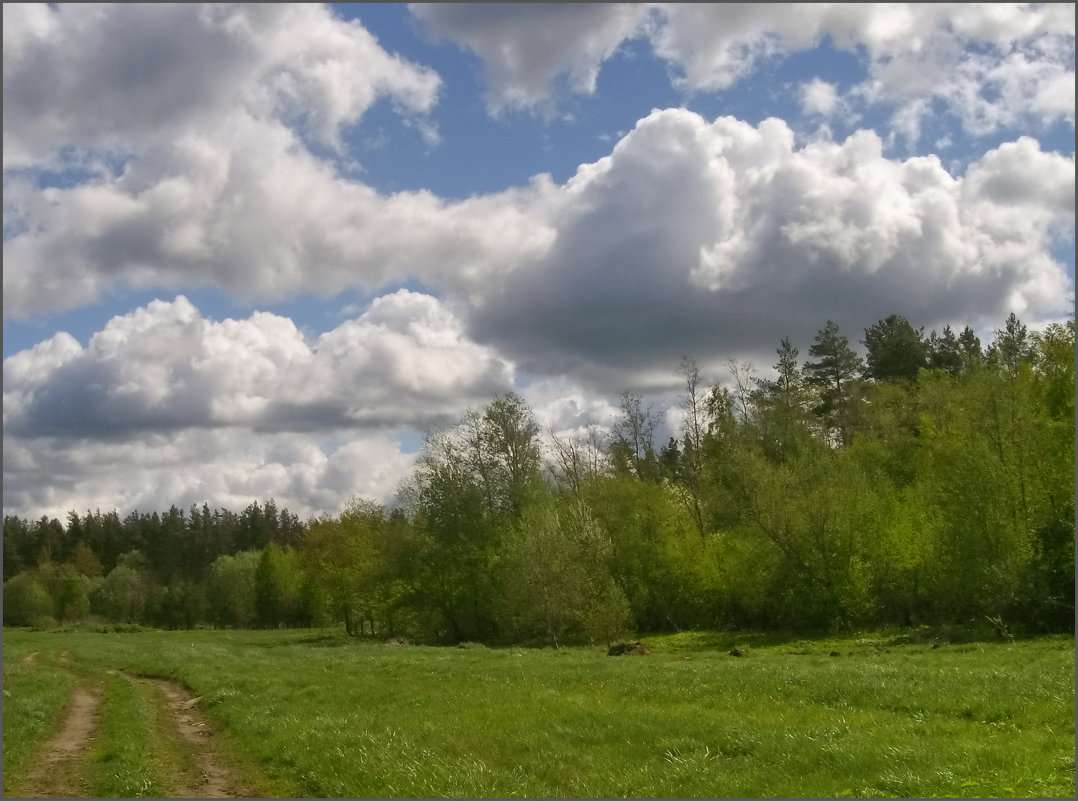 Весенний пейзаж с облаками - lady v.ekaterina