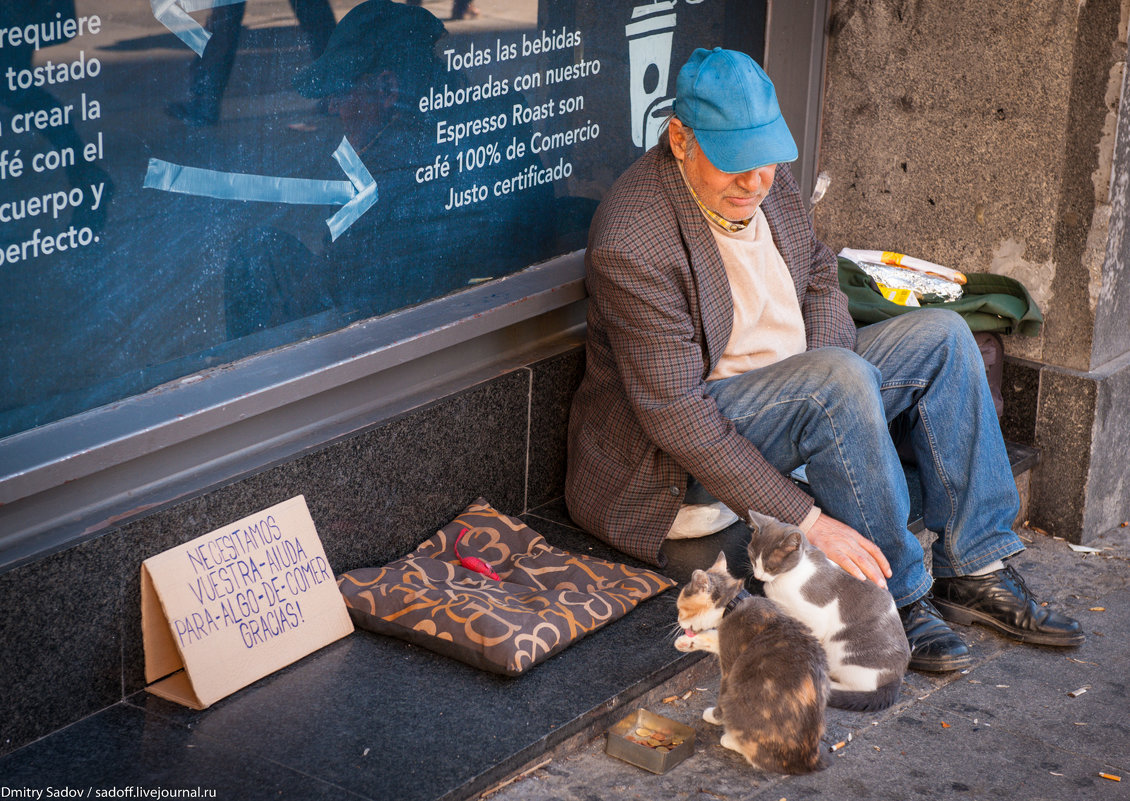 Бездомный в Мадриде - Дмитрий Садов