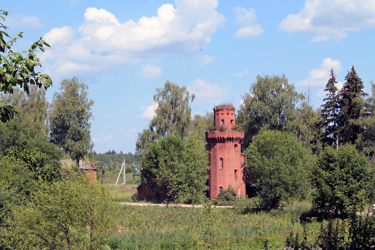 Стриж над старой башней - Анатолий Антонов