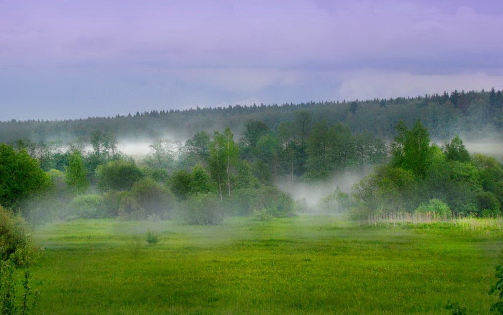 Туман над рекой - Лара Cимонова Бошкович Симонова