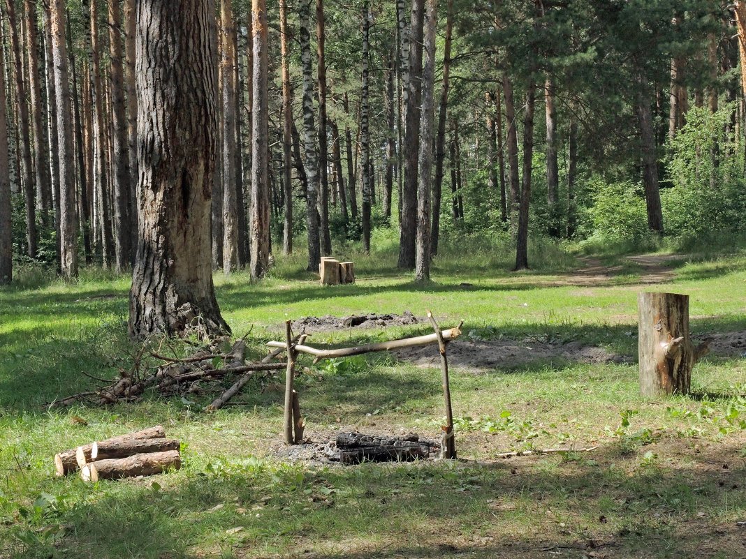 Бивак - Владимир Дементьев