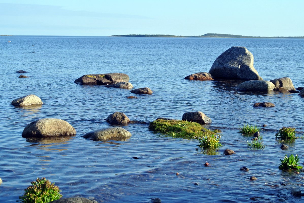 На Белом море. Соловки. - Лариса Вишневская