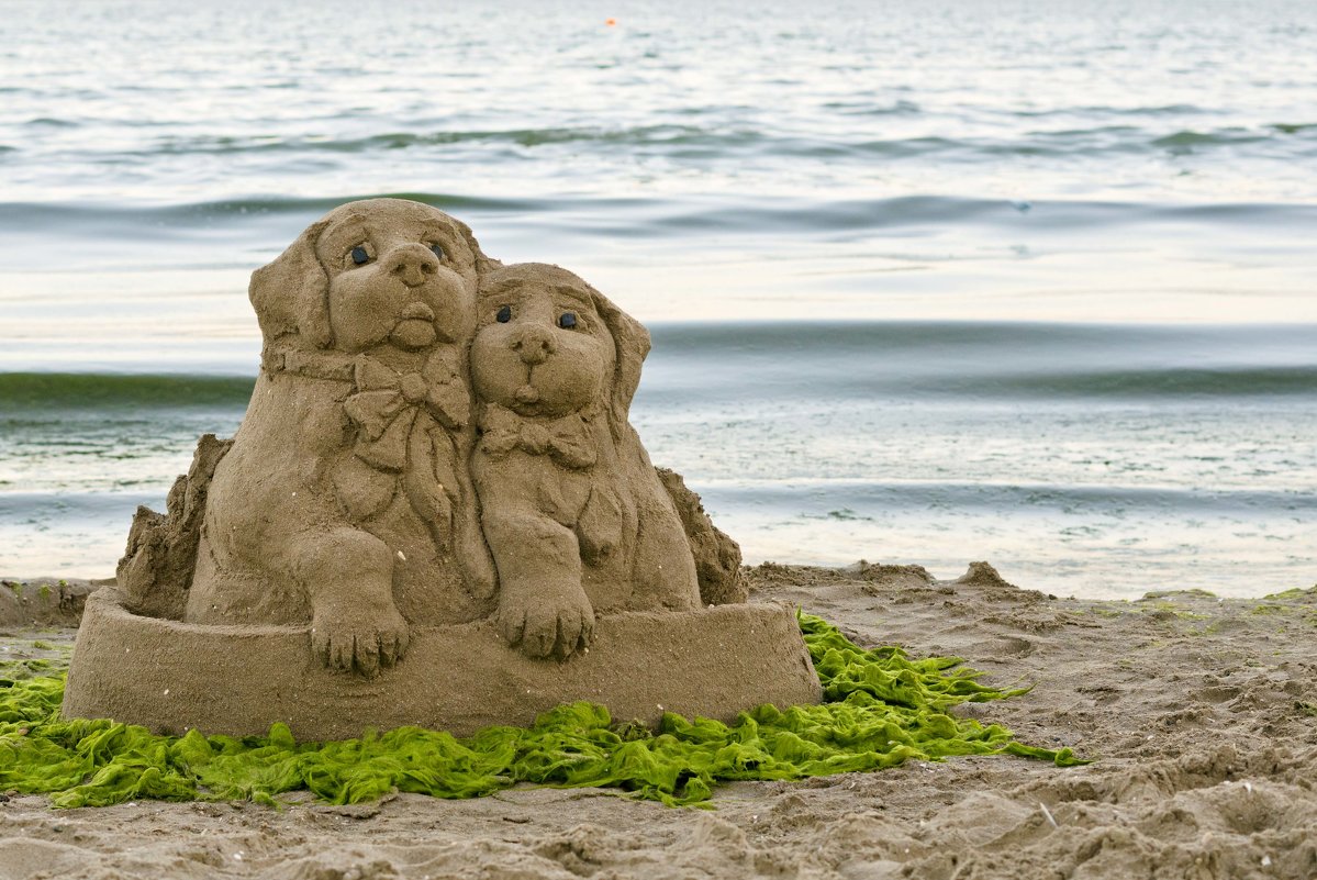 Песчаные собаки - Александр 