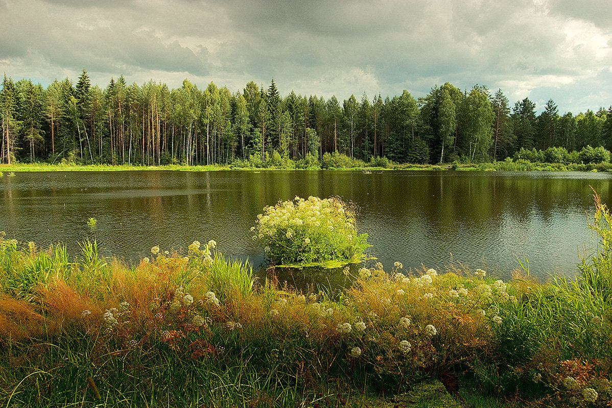 Лесное озеро - Александр Яковлев