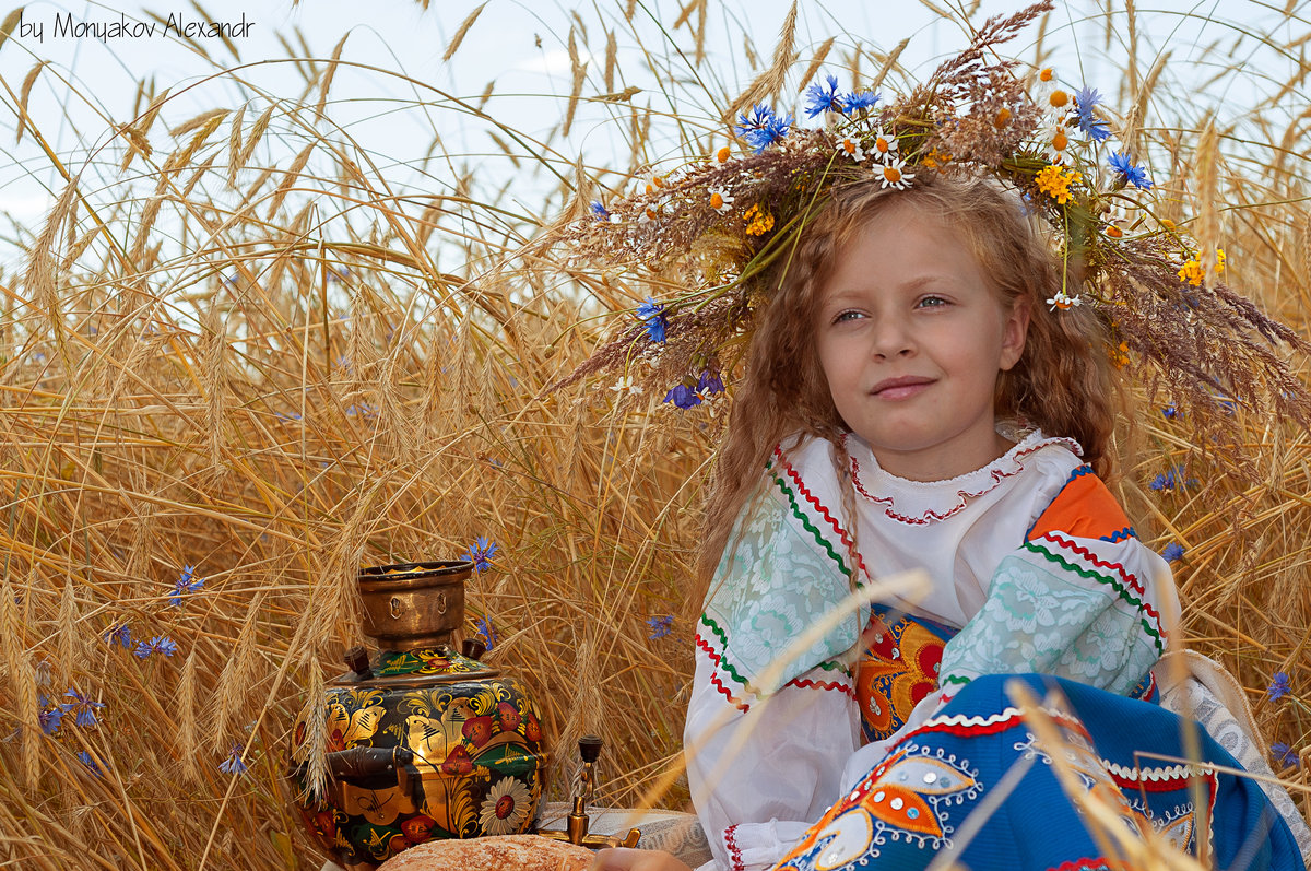 пикник - Александр Моняков