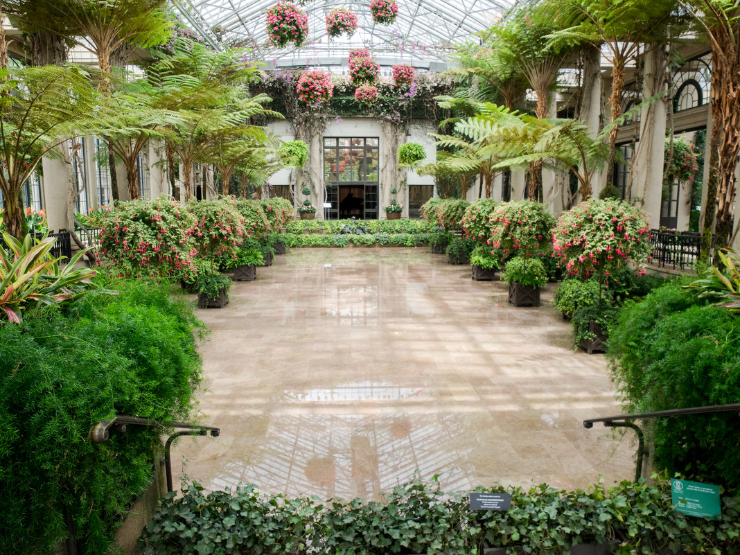 Conservatory in Longwood Gardens - Vadim Raskin