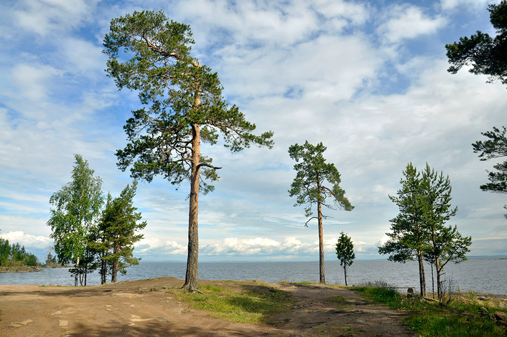 Ладожское озеро - Александр Силинский
