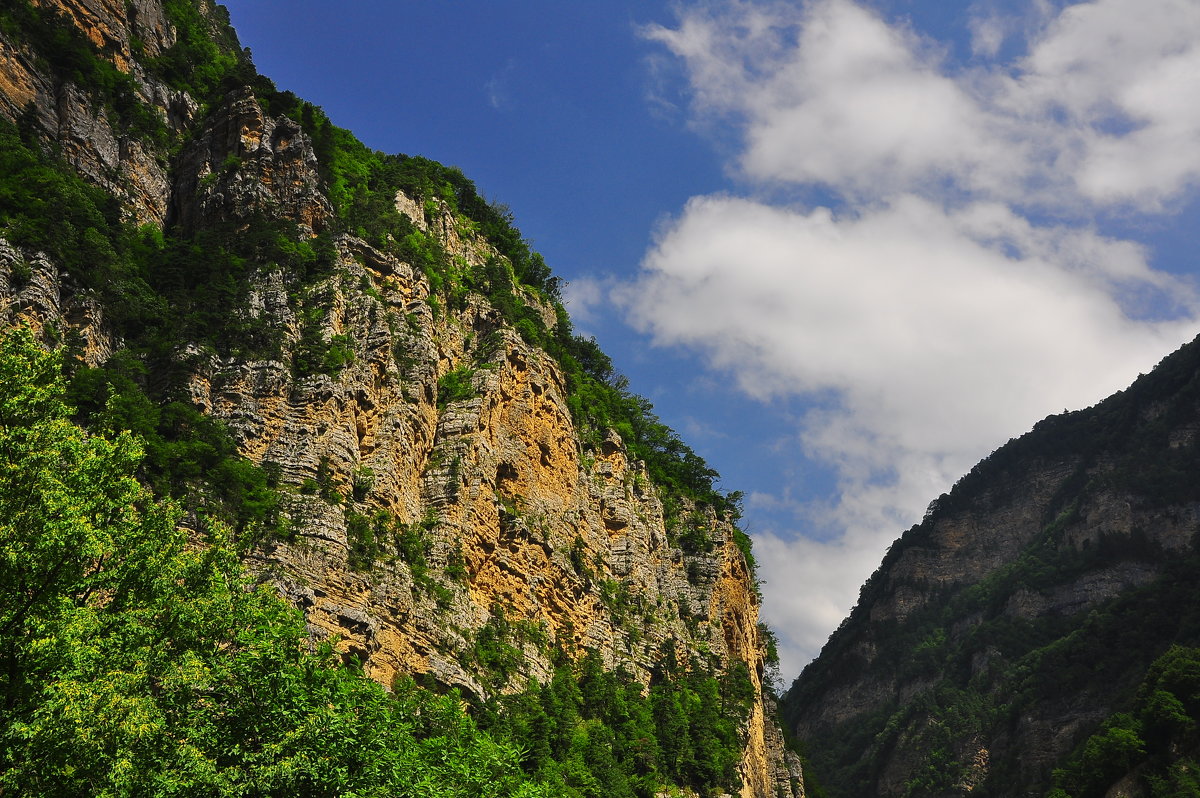 Дигория,Дигорское ущелье,Северная Осетия - lyuda Karpova