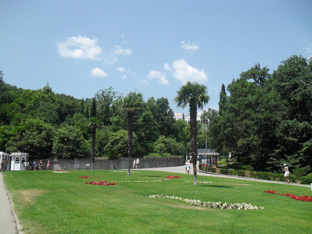 Газон напротив дворца Николая II - mobyalta 