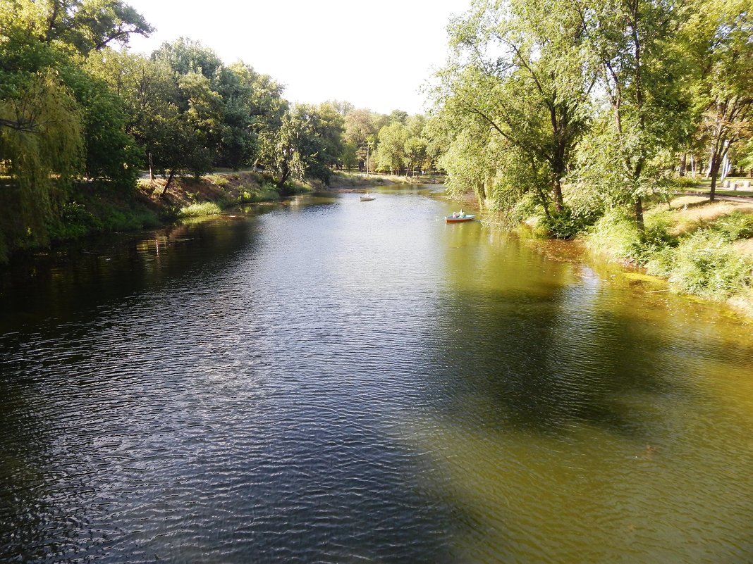 Река Саксагань - Дарья Неживая