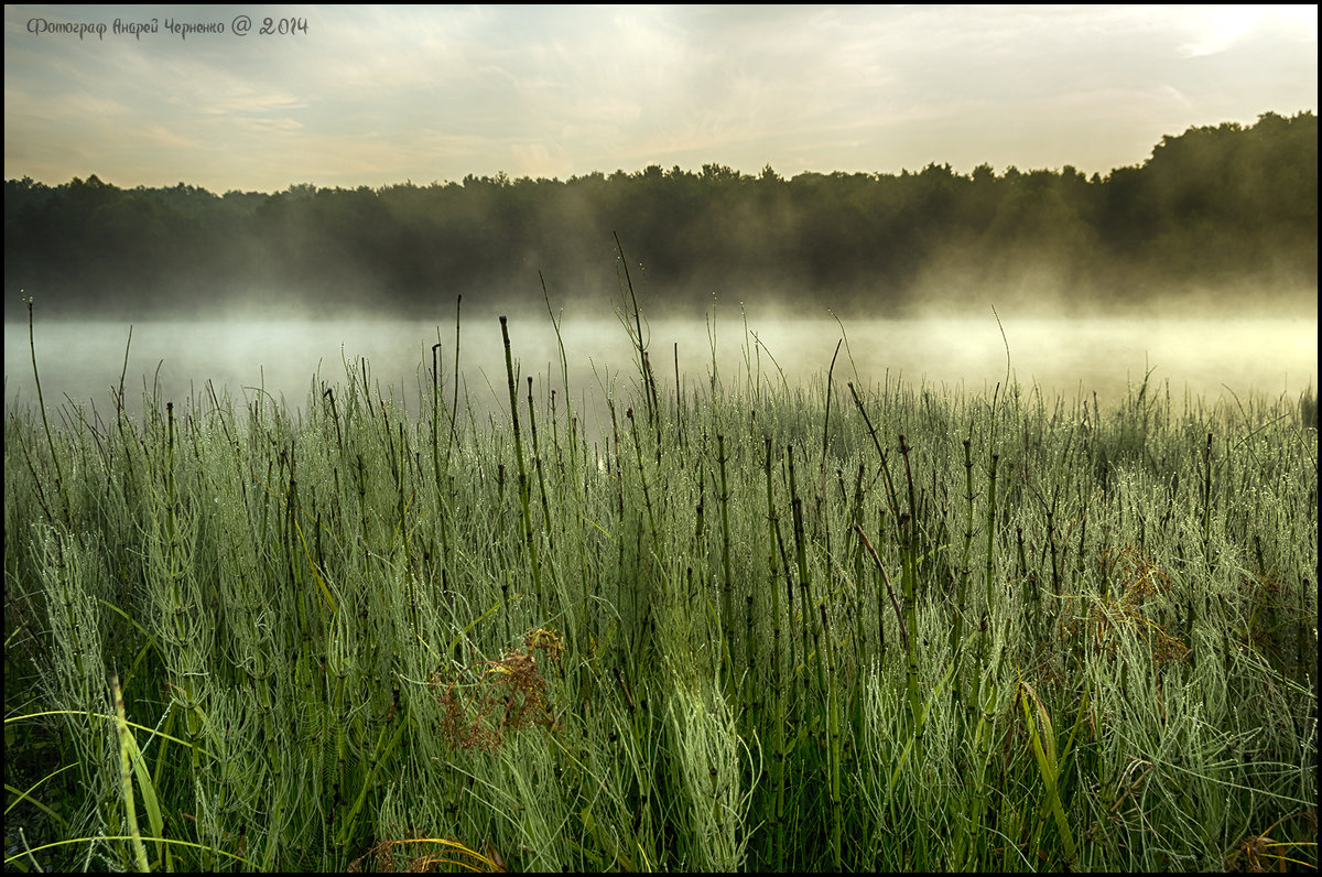 Утро на озере - Андрей Черненко