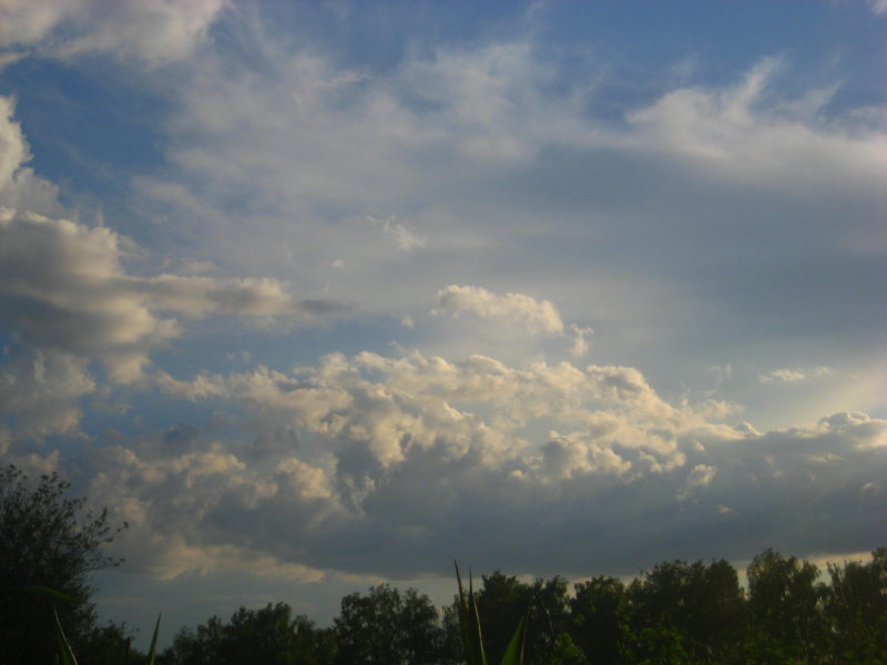Вечернее небо - оля san-alondra