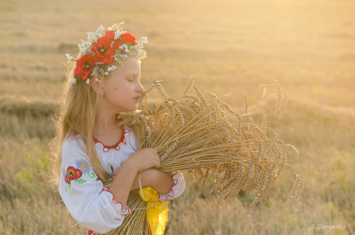 Летнее поле - Gannochka 