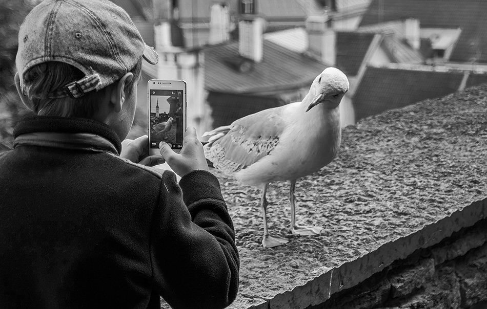 фотосессия - Анатолий Зинкевич 