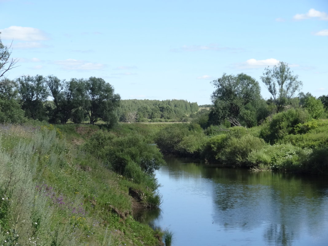 Река Немда, на границе республики Марий Эл и Кировской области - Андрей Бабушкин