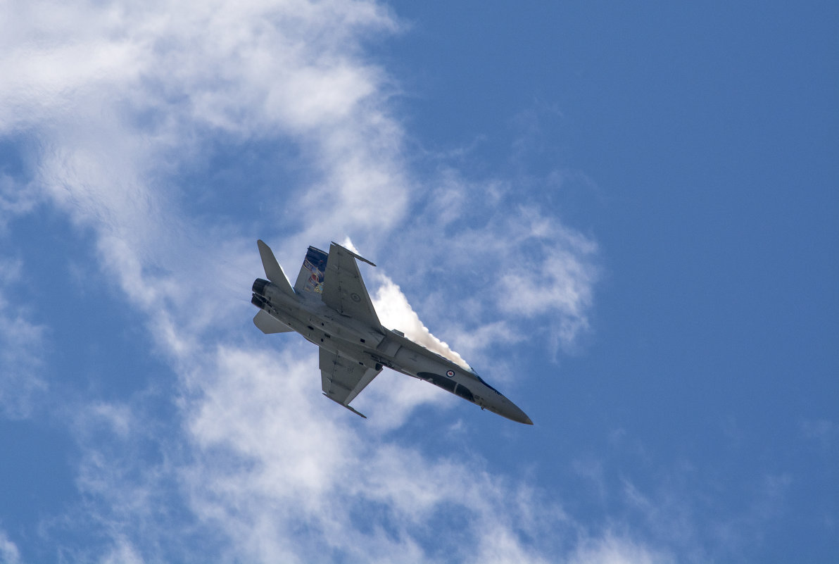 CF-18, Hornet - Сергей Бушуев
