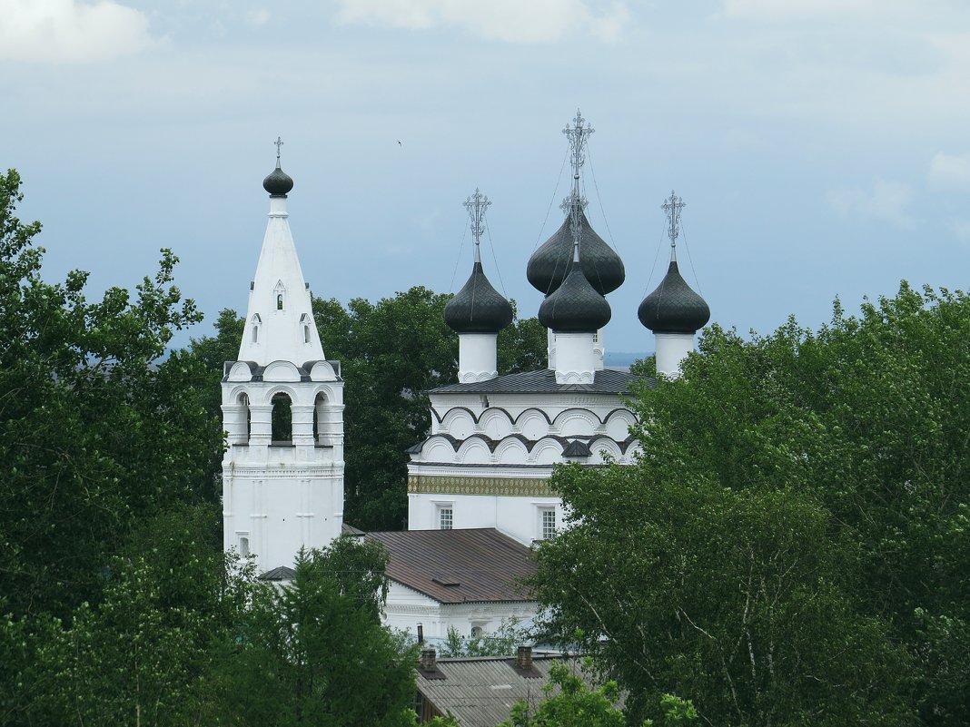 Церковь Спаса Всемилостивого в Белозерске - Елена Швецова