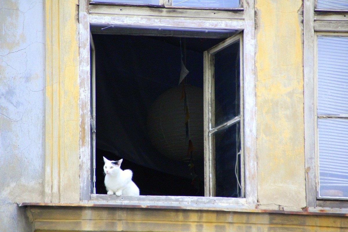 חלון  окно - vasya-starik Старик
