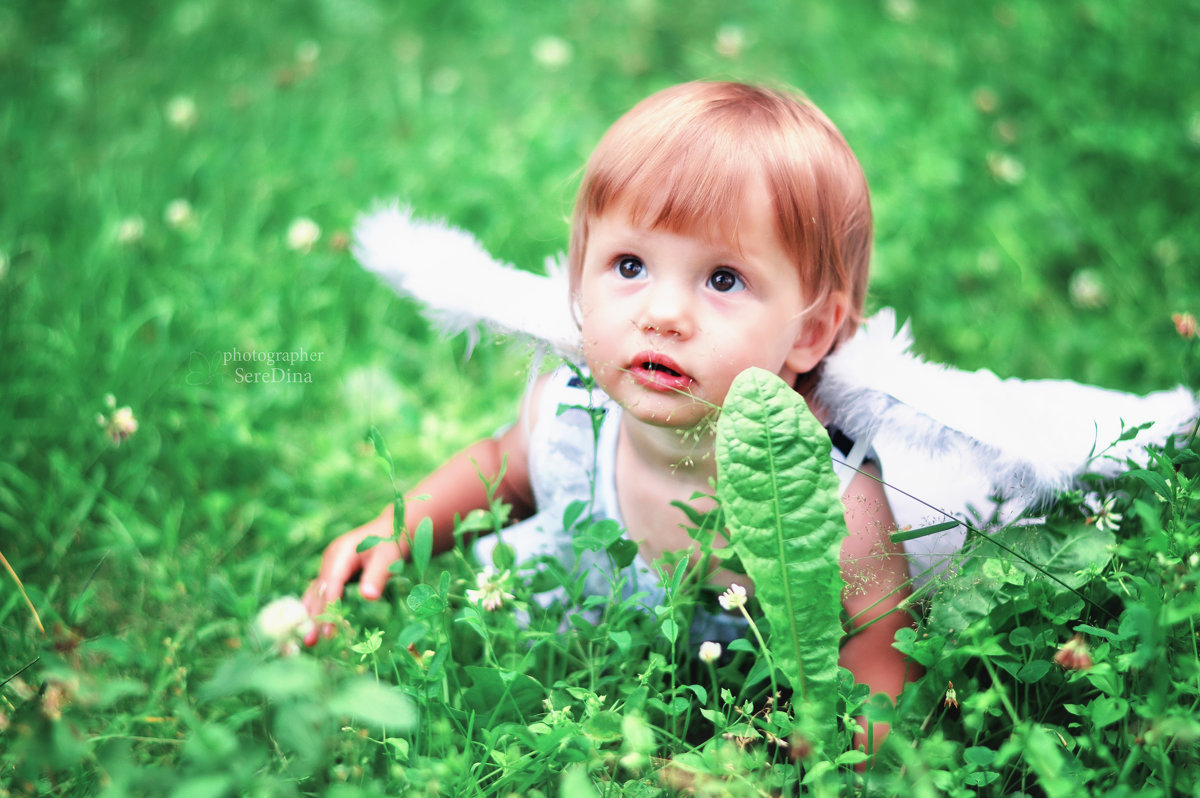 Маленький ангелочек - Дина Seredina