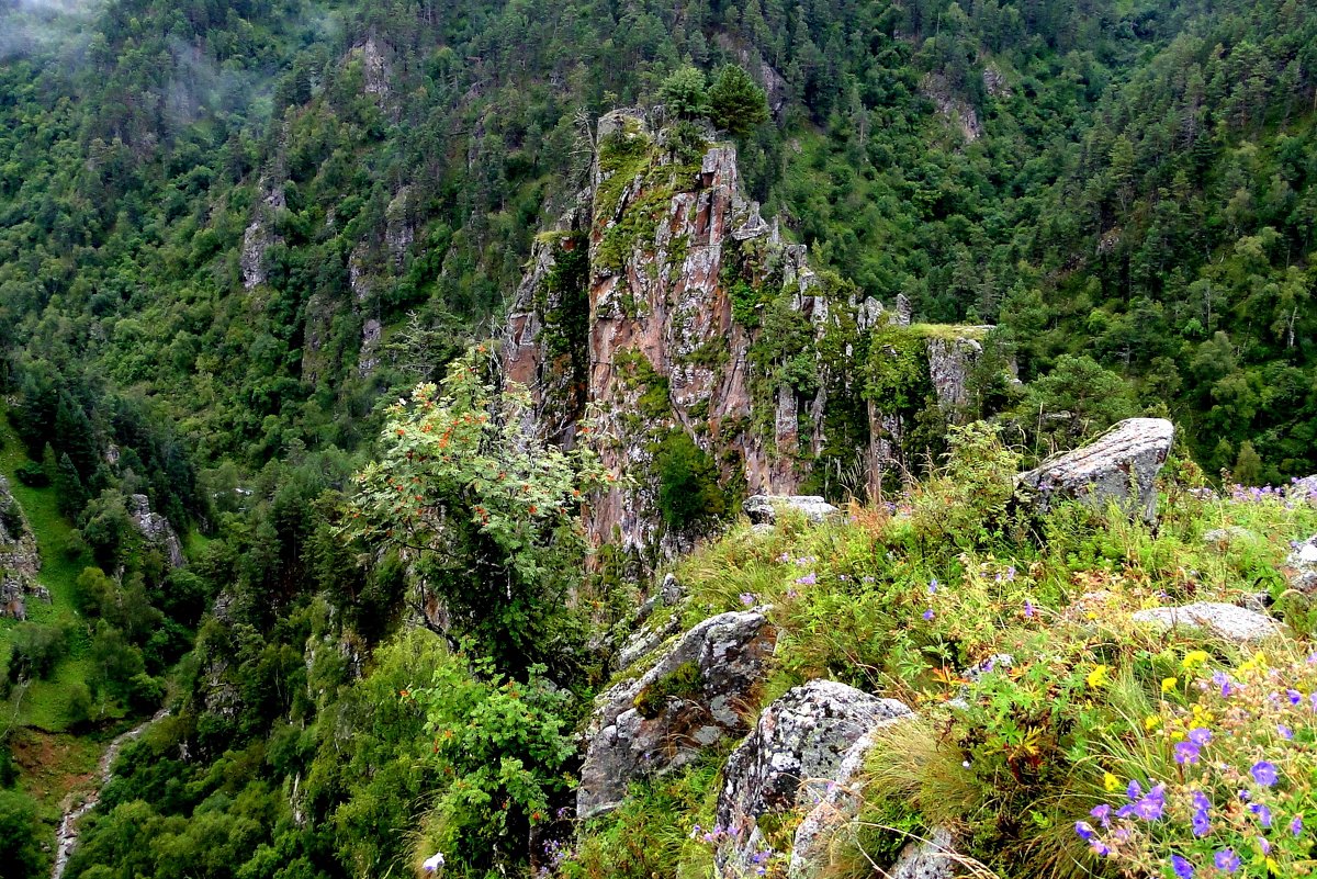 Скальный останец в долине реки Харбас - Елена Шемякина
