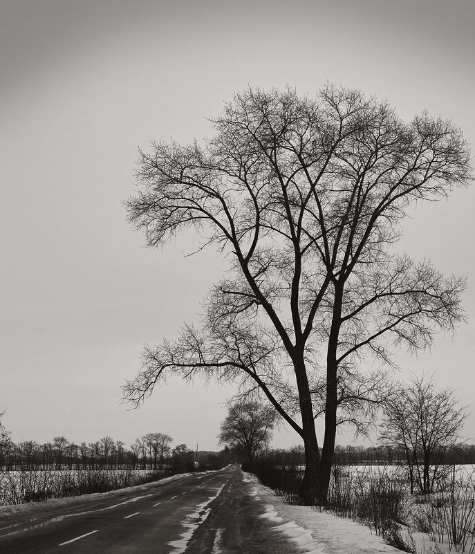 Winter Road. - Андрий Майковский