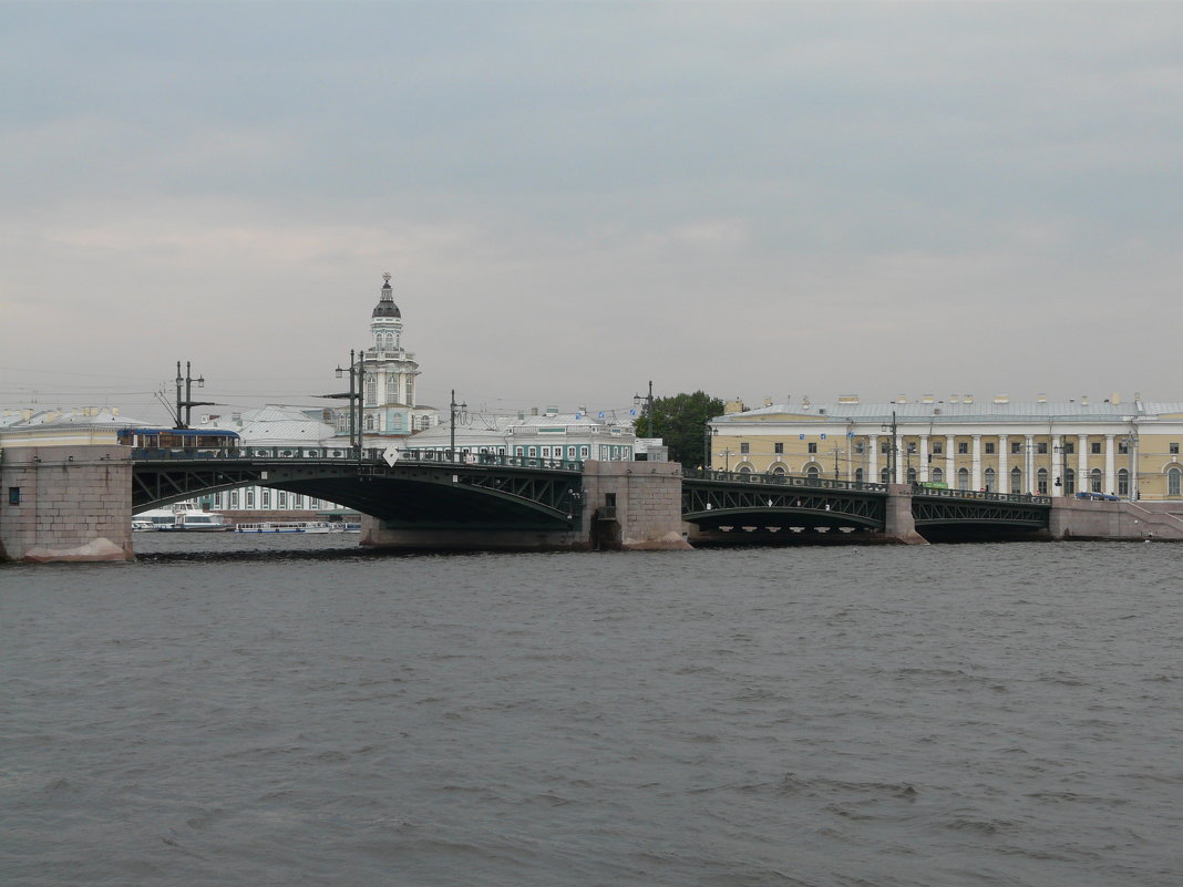 Вид на Дворцовый мост и Кунсткамеру - Елена Каталина