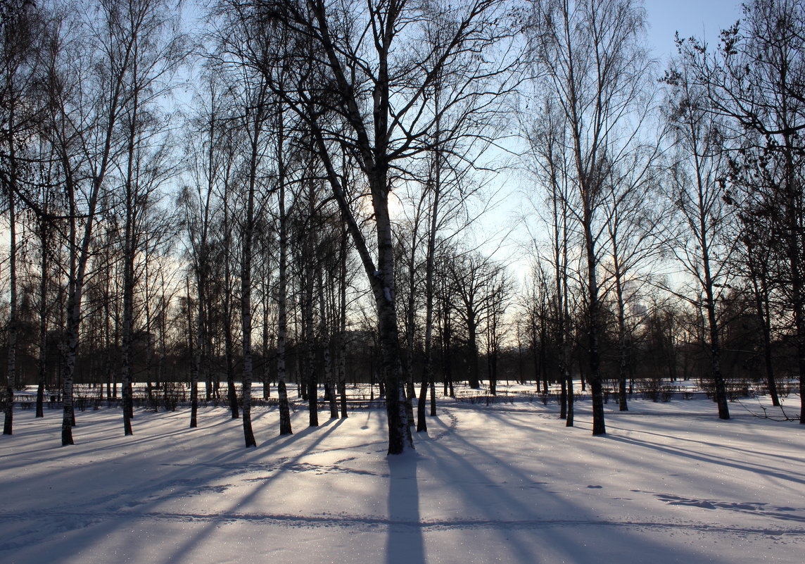 Сад будущего зимой - Евгений Белов