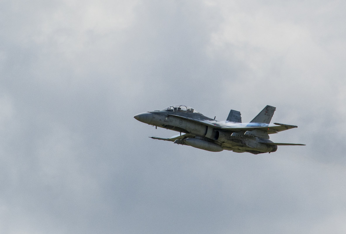 CF-18, Hornet - Сергей Бушуев