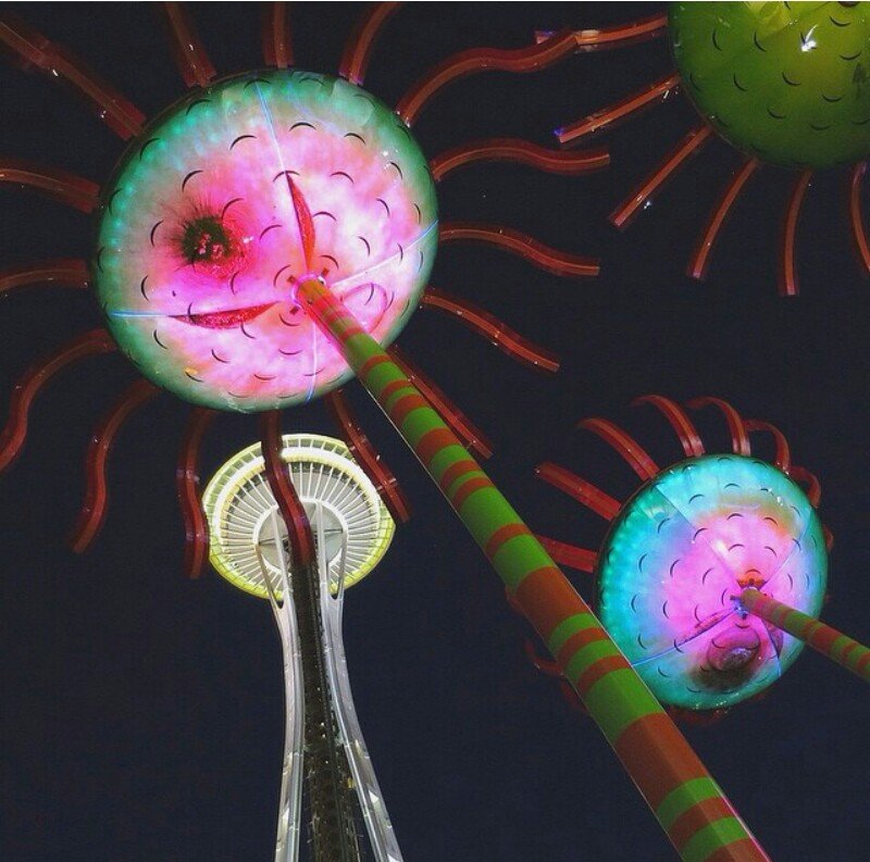 Ночь в Сиэтле и здешняя достопримечательность башня Space Needle - кот ❤