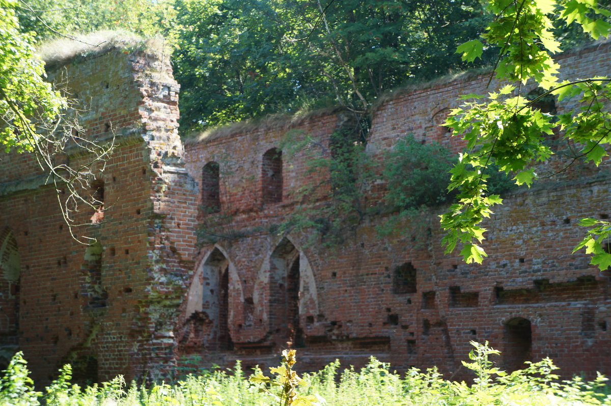развалины замка Ваалау - Константин 