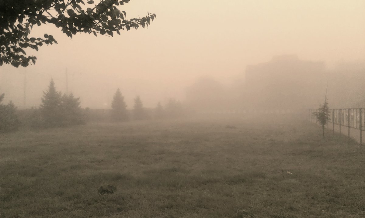 Утро, туман, завод. - Андрей Печерский 