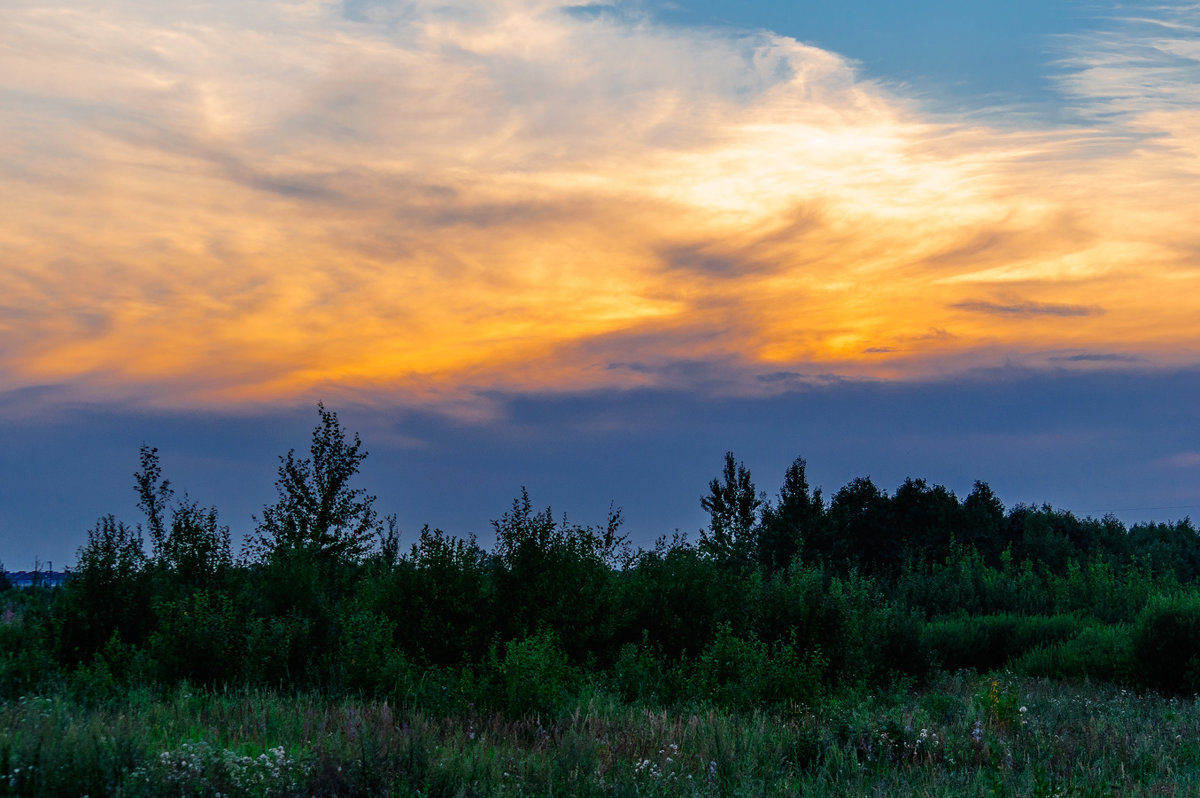 Закат над лесом 7 августа 2014. - Анатолий Клепешнёв