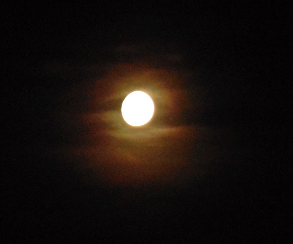 Луна на тёмном небосводе - Нина 