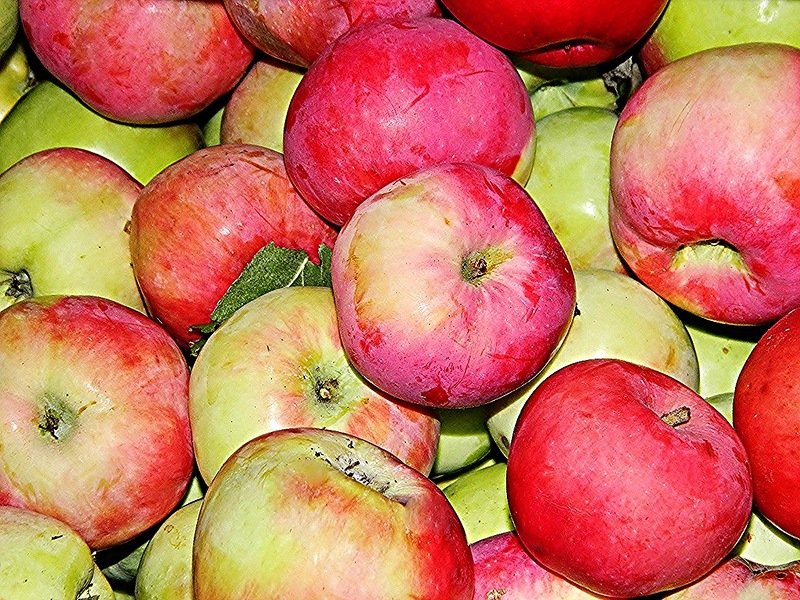 Настоящие яблочки - Валентина Пирогова
