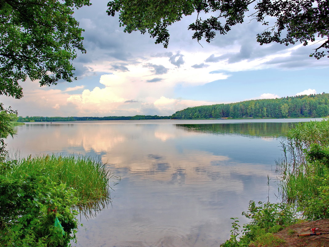 Oзеро " Суя" Полоцкий район, Беларусь - yuri Zaitsev