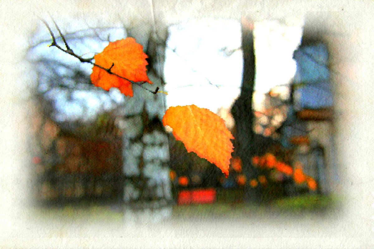Осенние листья... - Нина Шоломицкая