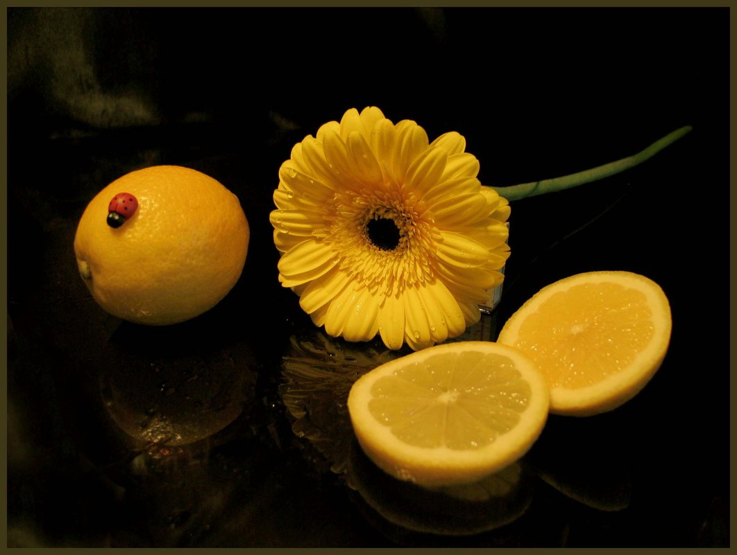 гербера и лимоны - Татьяна 