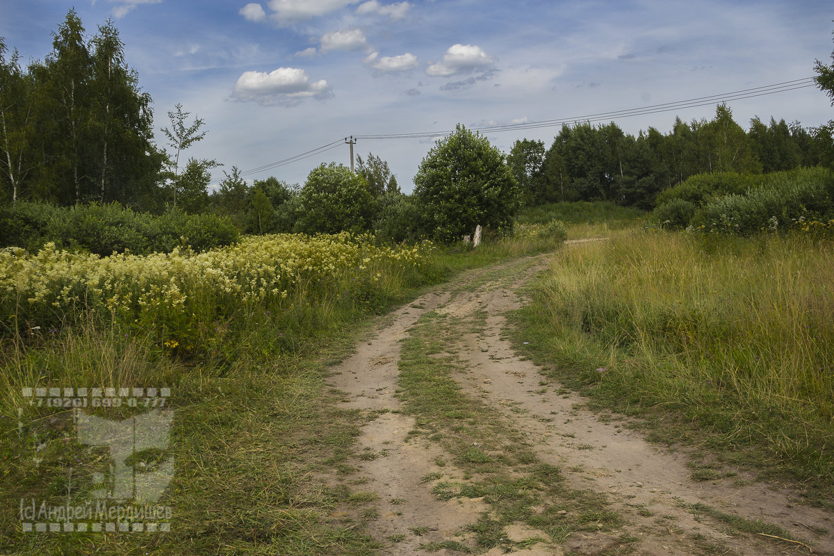 Вылазка на природу 15 июля 2014 Луговая дорога - Андрей Мердишев