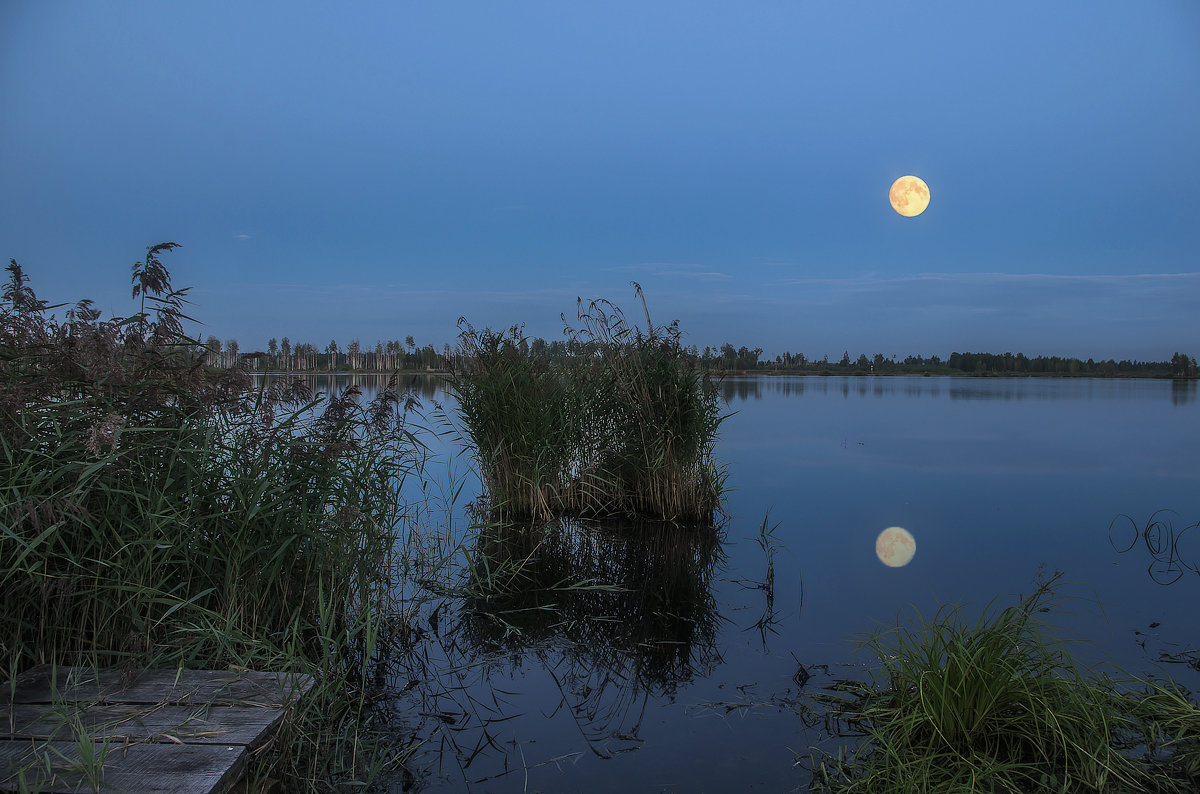 Ночное озеро - Эдуард Пиолий