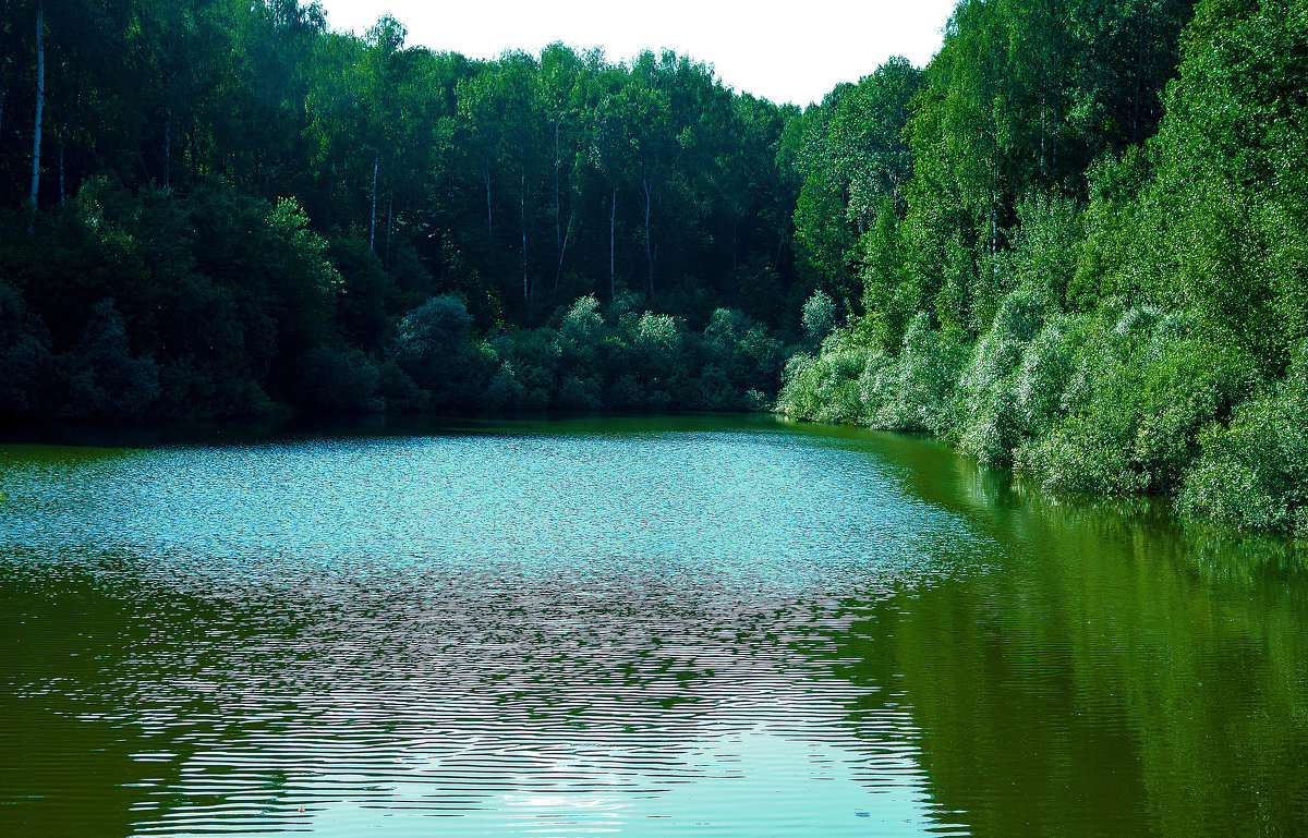 Лесное озеро - Валерий Баранчиков