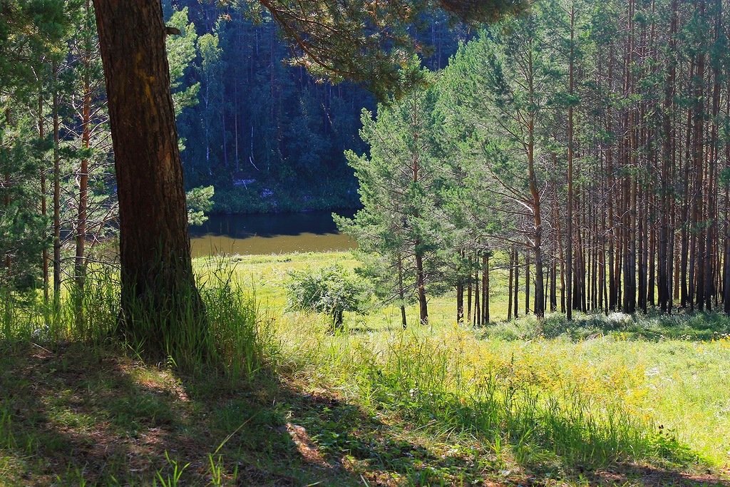 В лучах солнца - Галина Стрельченя