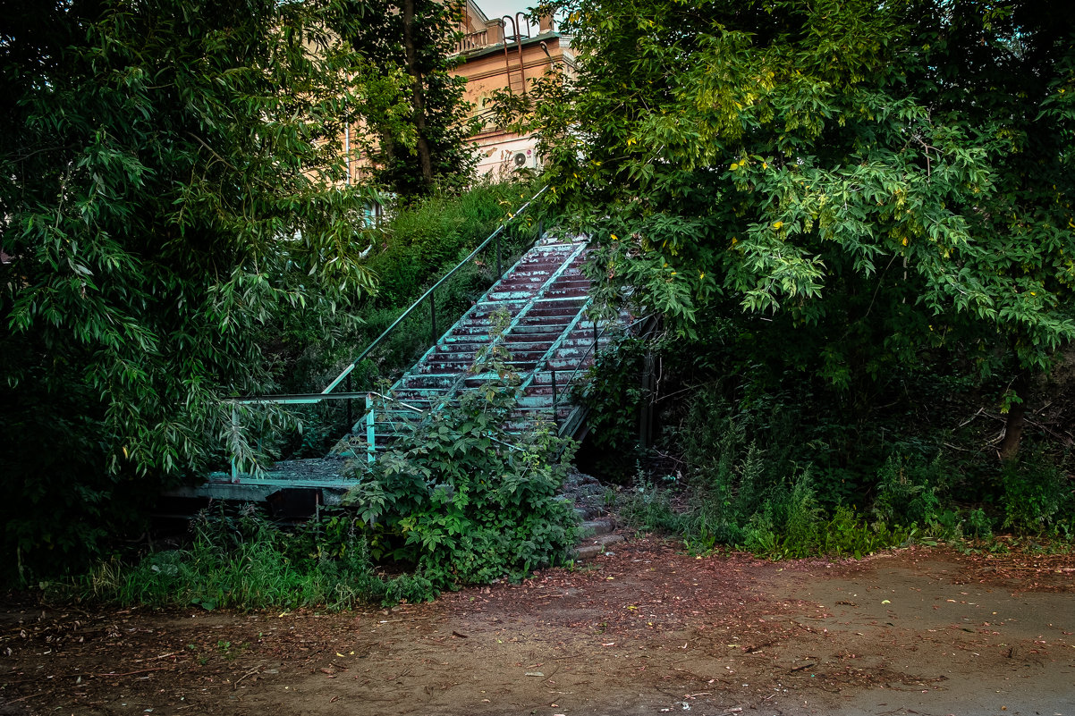 Старая лестница - Марк Э