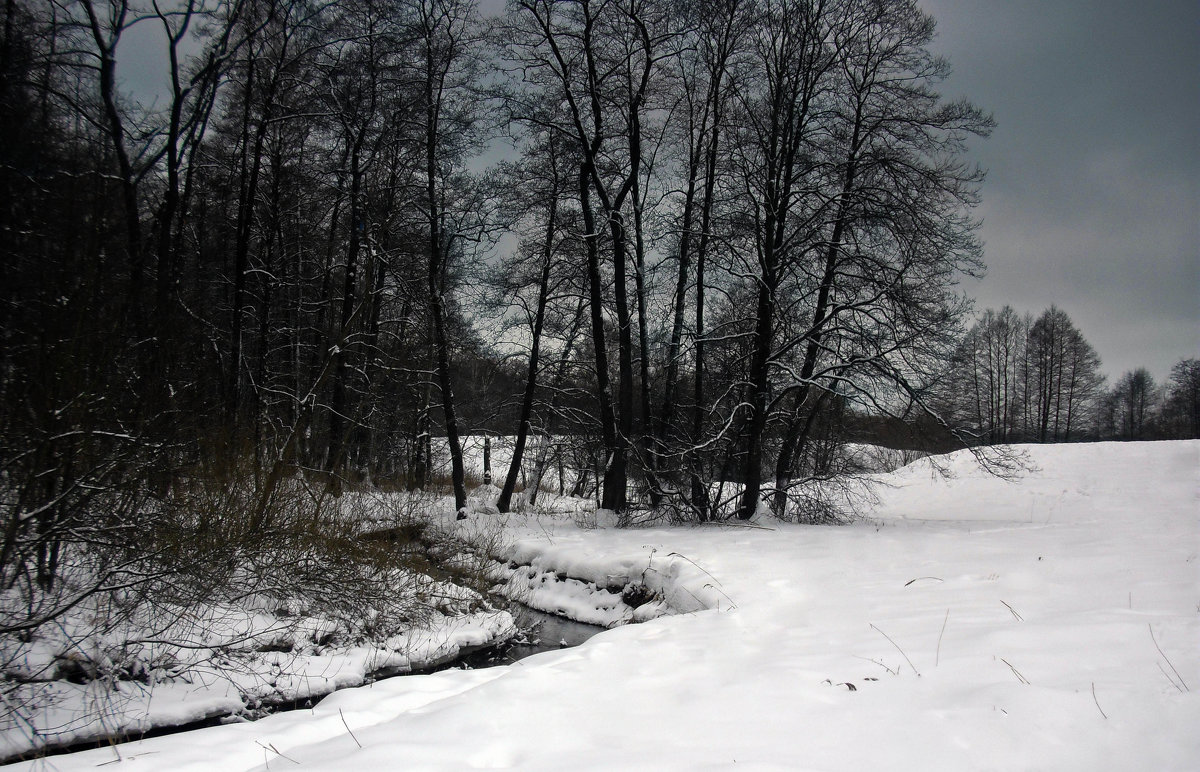 Зимний пейзаж - Виктория Саванова