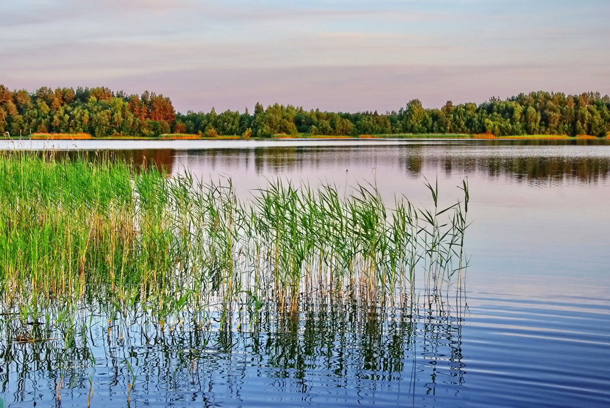 Озеро 1 - Валерий Талашов