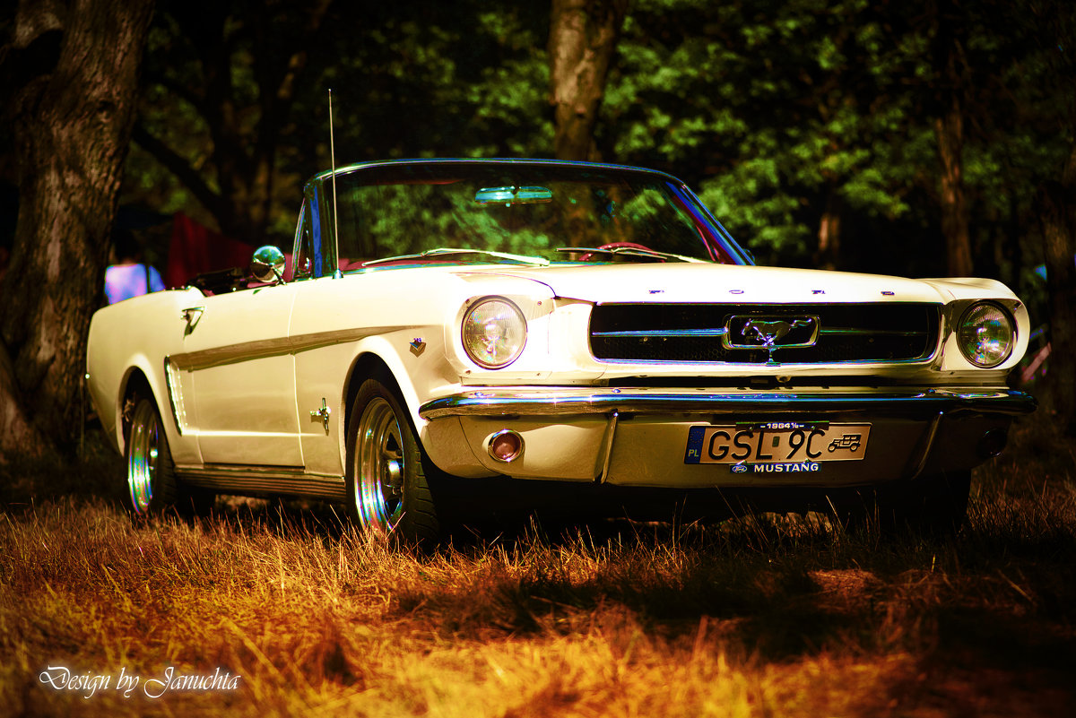 Ford Mustang 1964r - Janusz Wrzesień