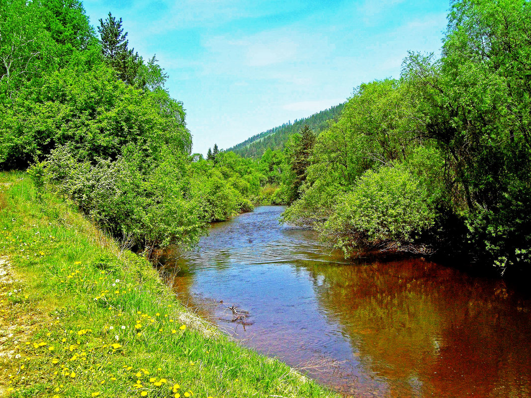 Река Олха - alemigun 