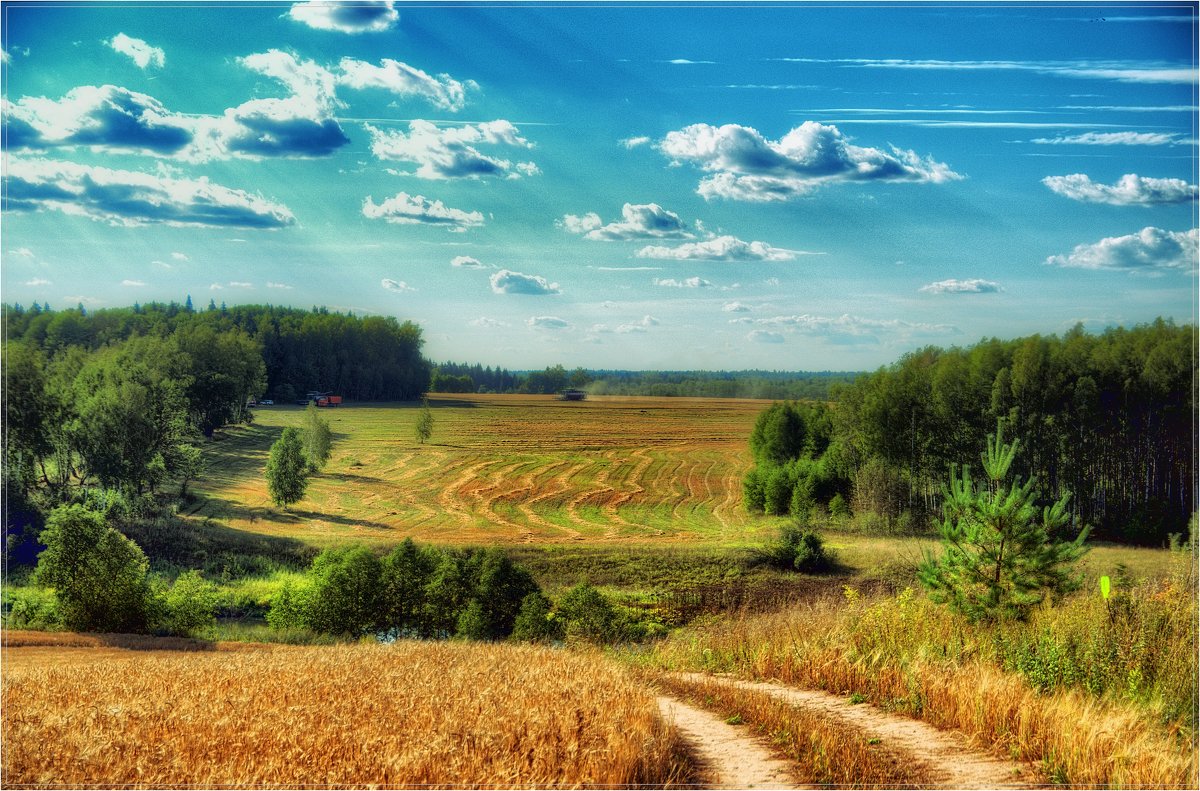 Летний пейзаж - Андрей Куприянов
