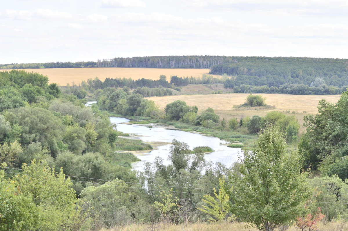 река Сосна - алексей затеев