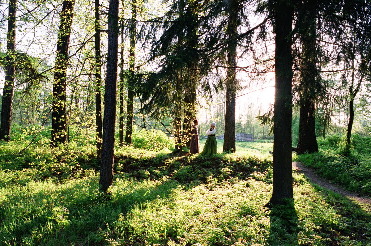 Старинный лес , задумчивый и мудрый - Петр Мерзляков